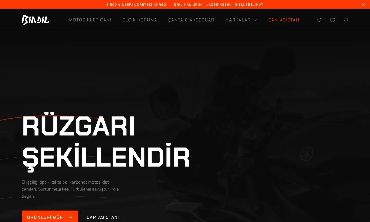 Biadil — proje ekran görüntüsü